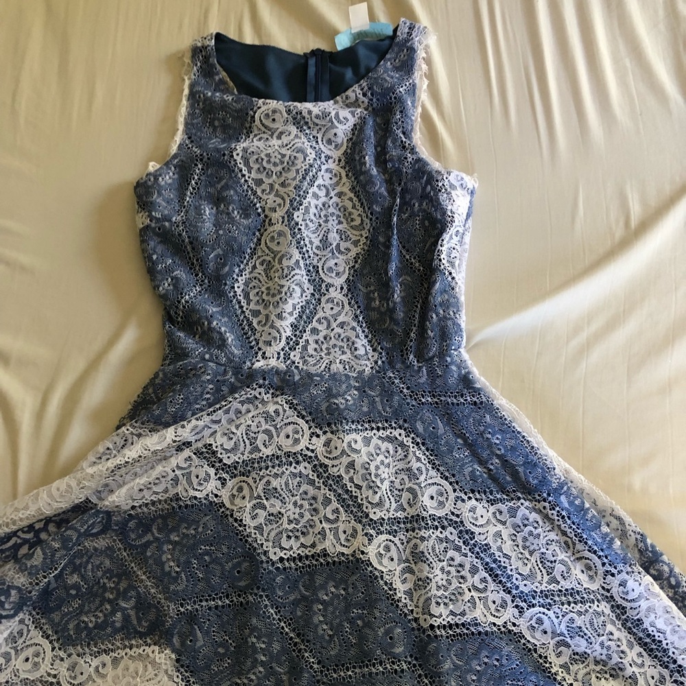 Blue and White Lace Skater Dress